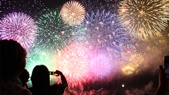 動画の活用・ライブ感の演出