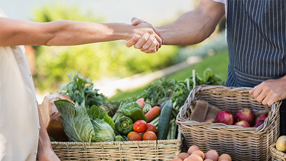 動画講座開催の流れ01