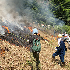 椎葉村焼畑の火入れ