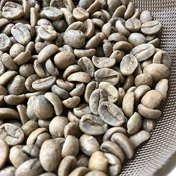 コーヒーの生豆